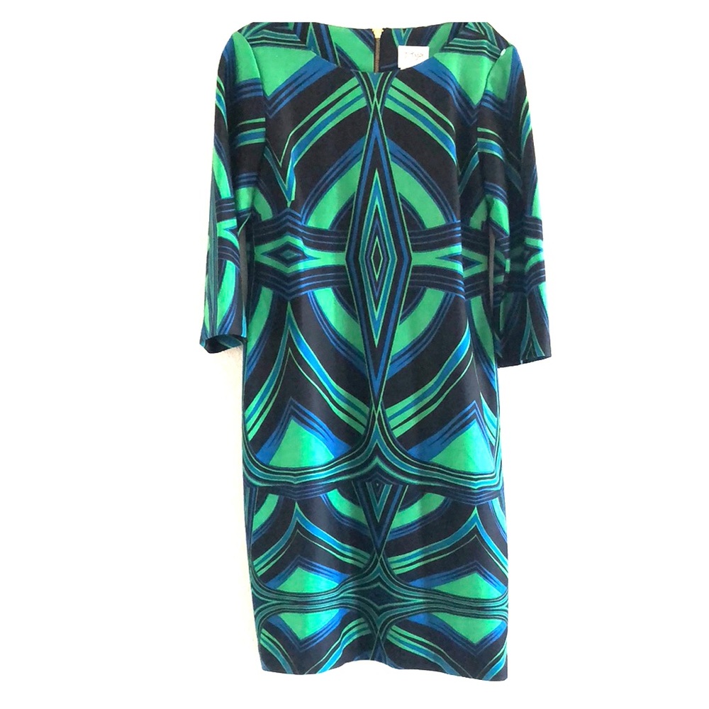 Shift Dress 1950’s vintage Seattle Seahawks